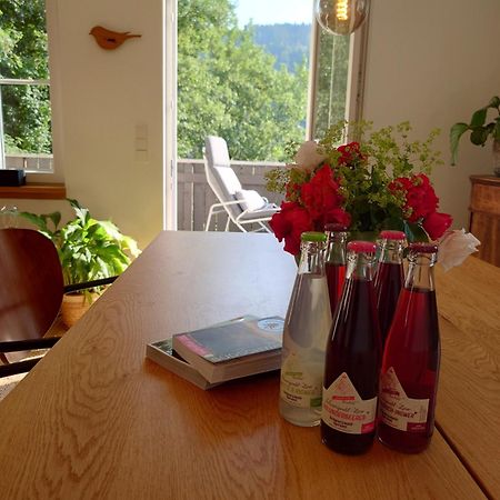 Willa Waelder: Quartier Haus Im Glueck St. Blasien Zewnętrze zdjęcie